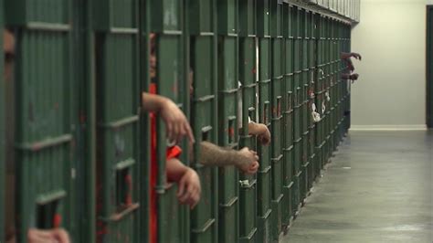 San Diego Jails Fail To Curb Inmate Deaths Alameda County Has Highest