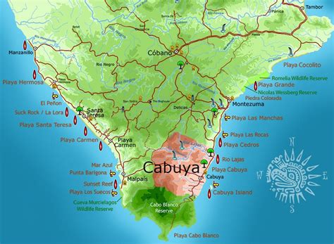 Cabuya