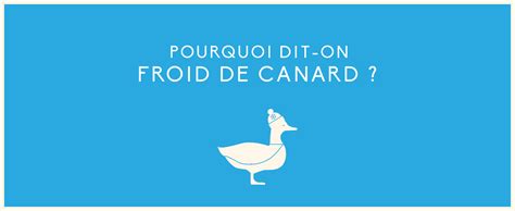 L expression française un froid de canard Les Petits Frenchies