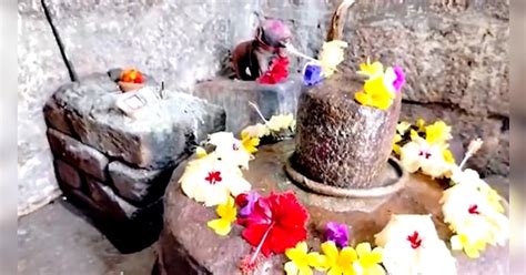 Dog Worshiped Shivling Historic Kukur Dev Temple Story Unique Balod