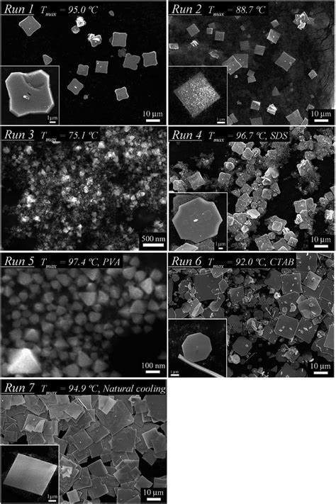 SEM Images Of Single Crystals Of A Tin Oxide SnO Plate Synthesized By