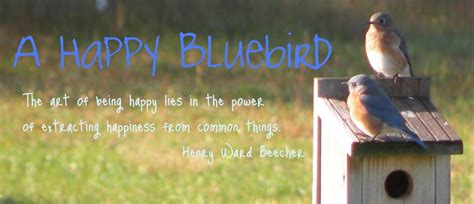 A Happy Bluebird: Happy Easter!