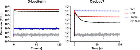 Aminoluciferins Extend Firefly Luciferase Bioluminescence Into The Near