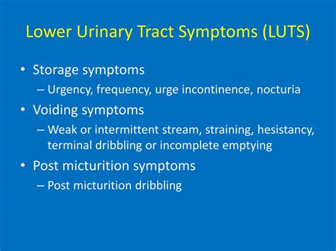 Ppt Lower Urinary Tract Symptoms Includes Ketamine Cystitis