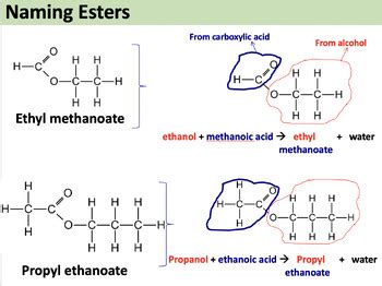 Carboxylic Acids And Esters By Teach Science And Beyond Tpt