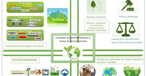 Estrategias De Sustentabilidad Para El Manejo De Recursos Naturales