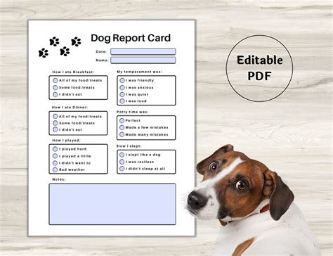 Dog Boarding Vs House Sitting at Timothy Simpson blog