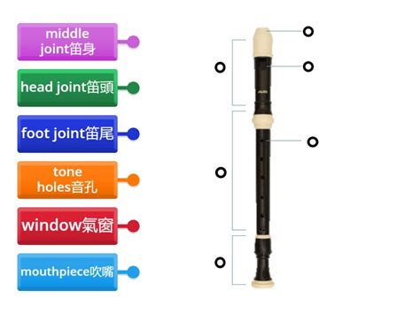 recorder parts - Labelled diagram