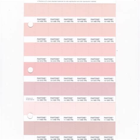 Pantone Tpg Red Plum Replacement Page Fashion Home