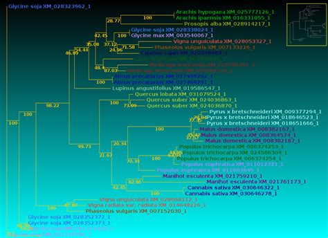 Birch Tutorial Visualization Of Phylogenetic Trees