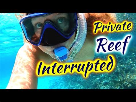 SDA Empty Bikini Free Beach Sailing Dark Angel