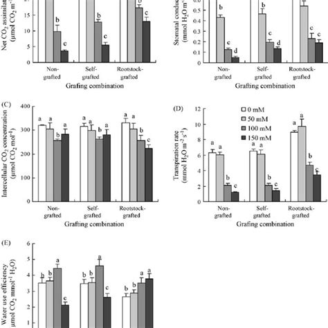 Effects Of Nacl Concentrations And Mm In The Nutrient