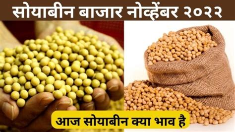 Soyabean Mandi Rate किसानो की मुस्कराहट की एक झलक से रोशन हो उठता है जहाँ सोयाबीन के दाम सुन