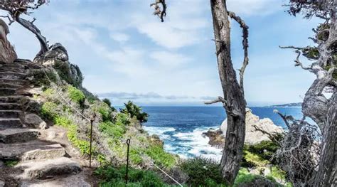 Top Rated Tourist Attractions In Northern California