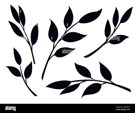 Black Silhouette Set Of Autumn Leaves On Branches Flat Vector