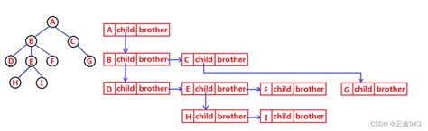 数据结构树形结构 CSDN博客