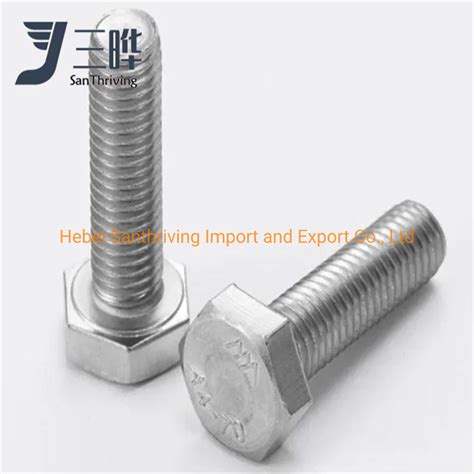 Hex Bolt High Strength Hexagonal Nut Galvanized And Foundation Hex Head