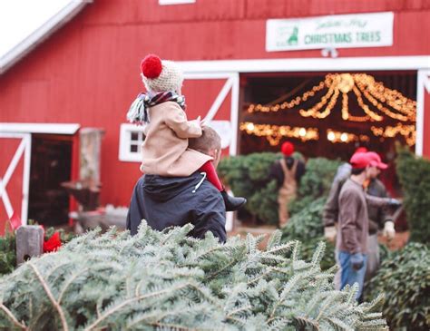 Oh Christmas Tree Your Total Guide To Tree Farms In Indiana