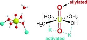 The Effect Of The Equatorial Environment On OxoGroup Silylation Of The