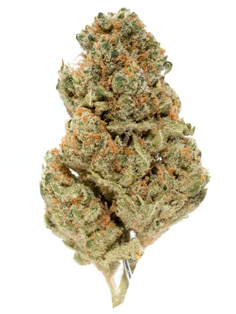 Mango Kush Weedpedia Coupons And Reviews