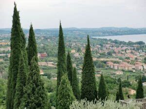 Bardolino Am Gardasee 15 Infos Und Fakten Zum Gardasee