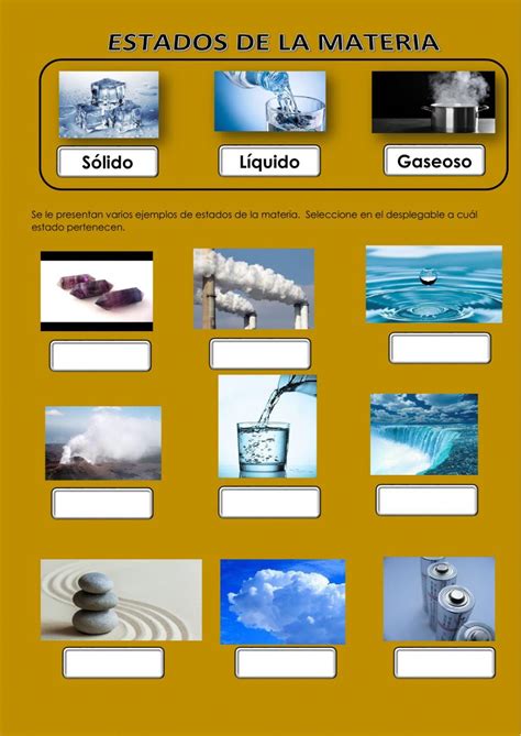 Los Estados De La Materia Ficha Interactiva Interactive Activities Images