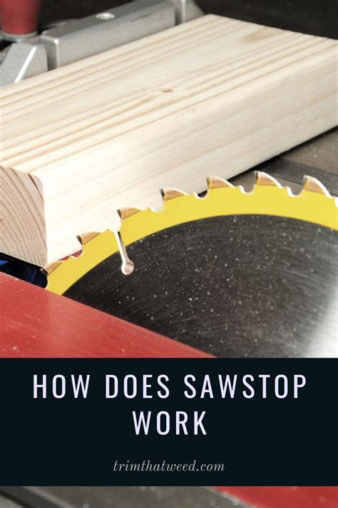 Best Table Saw Blade Artofit