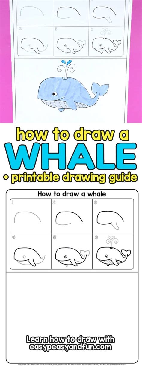 How To Draw A Whale Step By Step Cartoon Style Ballenas Dibujo