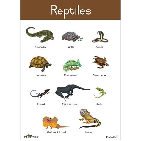 Poster - Reptiles (A2)