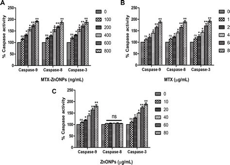 Frontiers Methotrexate Conjugated Zinc Oxide Nanoparticles Exert A Substantially Improved