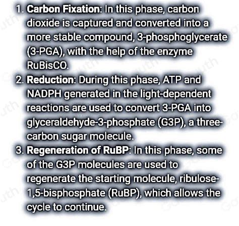 Solved Part Ii Calvin Cycle Highlights The Calvin Cycle Is Divided