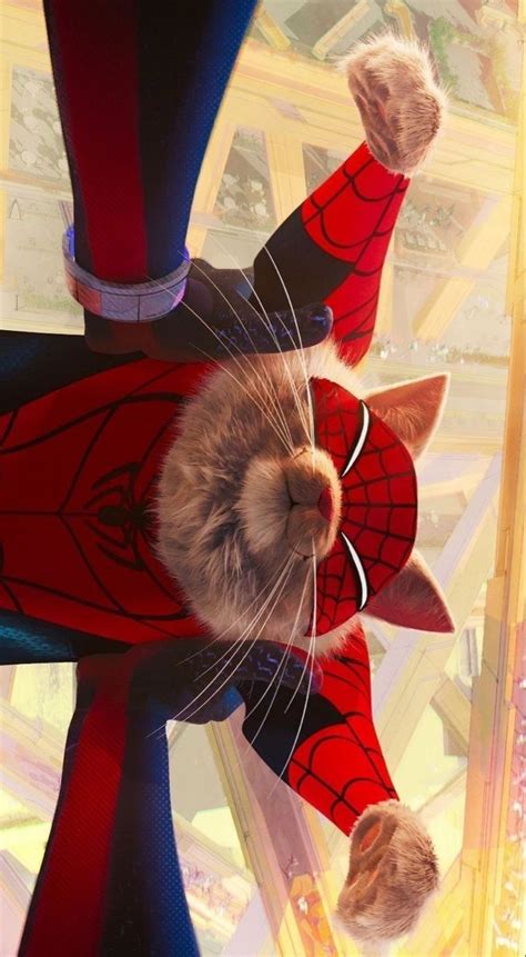 Spiderman Cat Art Minimalist Movie Poster