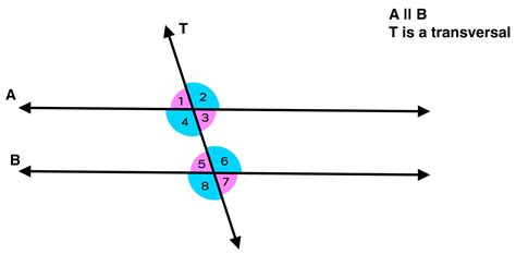 Same Side Interior Angles Explained — Mashup Math