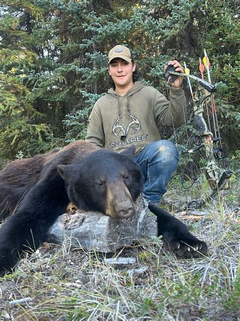 Black Bear Hunting In Canada For Non Residential Alphadog Outdoors