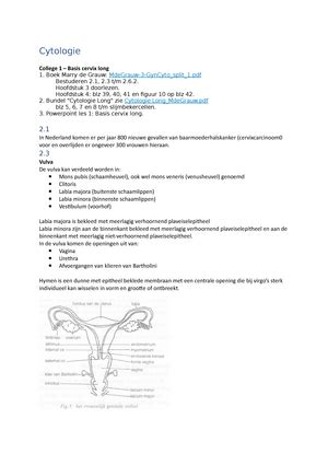 Cytologie Samenvatting Achterliggende Theorie Cervix O Ectocervix