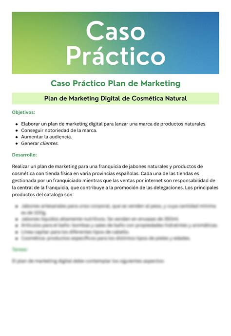 Solution Plan De Marketing Caso Pra Ctico Studypool