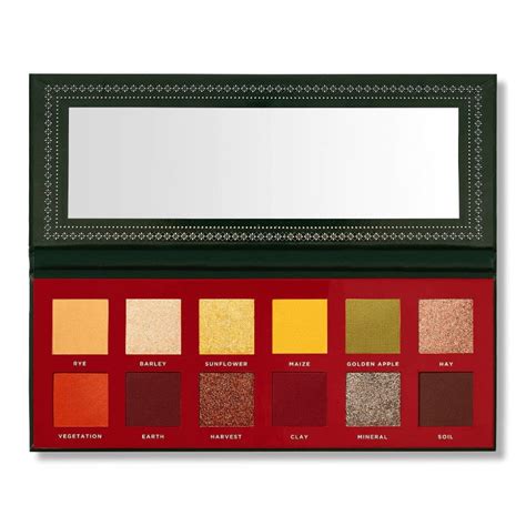 Ace Beaute Classical Paradise Eyeshadow Palette Walmart