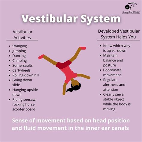 Vestibular System | Sensory Processing | Pediatric Occupational Therapy