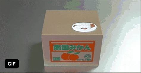 Mechanical Pussy Coin Bank GAG