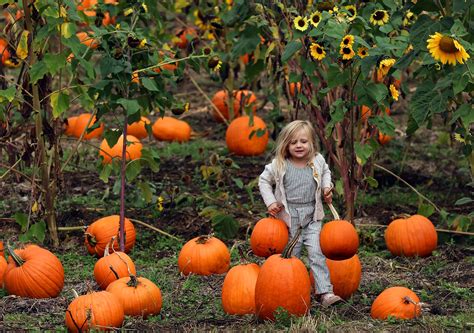 October events coming in Kitsap County