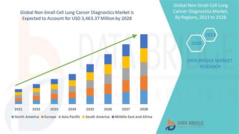 Non Small Cell Lung Cancer Diagnostics Market Size Share Growth