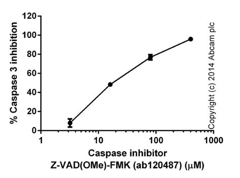 Caspase 3 Inhibitor Assay Kit Ab102491 アブカム