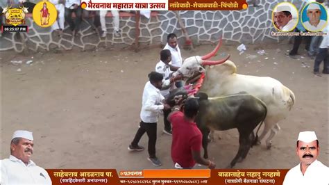 श्री भैरवनाथ महाराज यात्रा उत्सव २०२४ लांडेवाडी चिंचोडी दुसरा दिवस