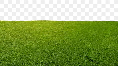 Discover The Beauty Of Nature With These Grass Background Png Images