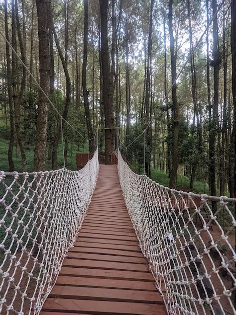 Premium Photo | A bridge in the woods with a rope bridge