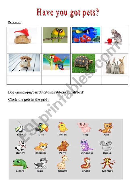 Pets ESL Worksheet By Gowena