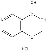 Methoxypyridine Boronic Acid Hcl