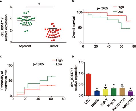 Frontiers Circular RNA Circ 0014717 Suppresses Hepatocellular