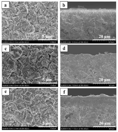 Membranes Free Full Text Single Gas Permeance Performance Of High