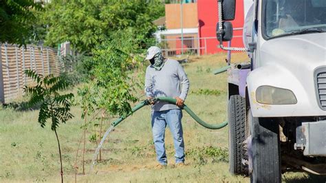 Se Suma Servicios P Blicos A La Jornada De Reforestaci N En El Cecyt